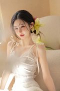 加速结构软件及消息手艺办事